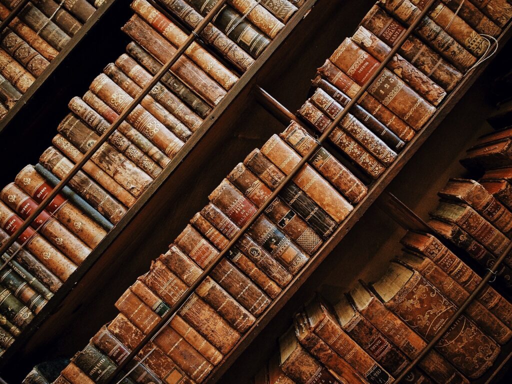 Textuality and Diversity: A Literary History of Europe and its Global Connections, 1529—1683