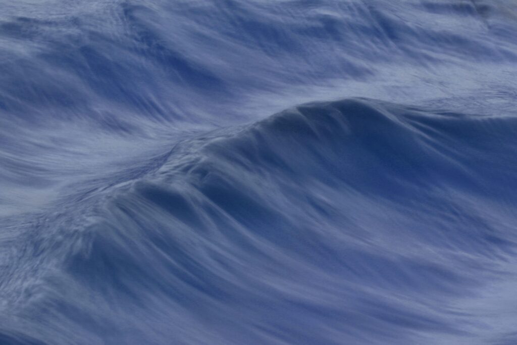 WaterScapes – Summer School 2022