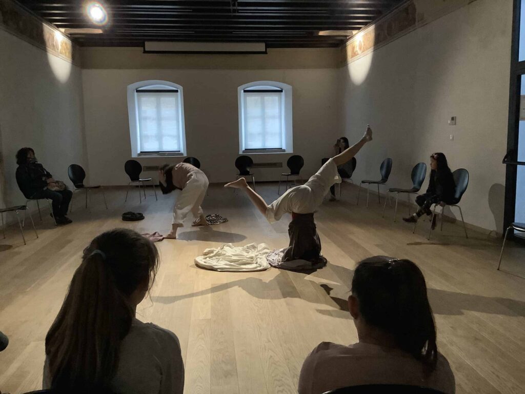 Presentation of the artist residence at the Moise Palace