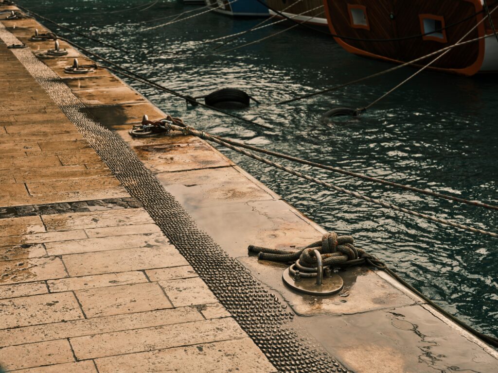 Dock Culture exhibition at Moise Palace
