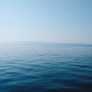 thomas-vimare-IZ01rjX0XQA-unsplash